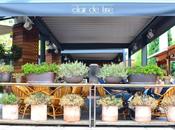 Postcard from Madrid