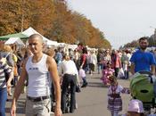 an... Brovary fête!