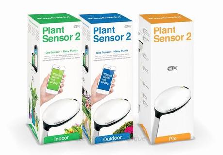 Koubachi Plant Sensor, le capteur connecté pour vos plantes Koubachi Plant Sensor, le capteur connecté pour vos plantes