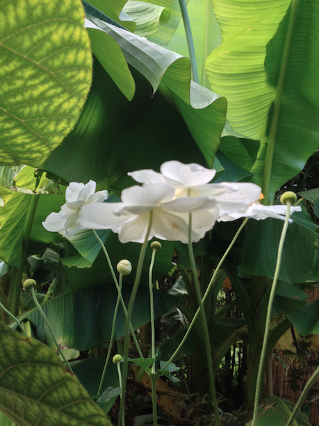 Mosaïc, un jardin extraordinaire !