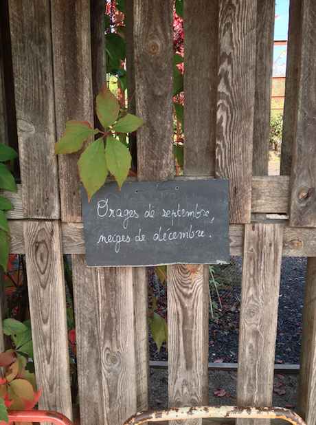 Mosaïc, un jardin extraordinaire !