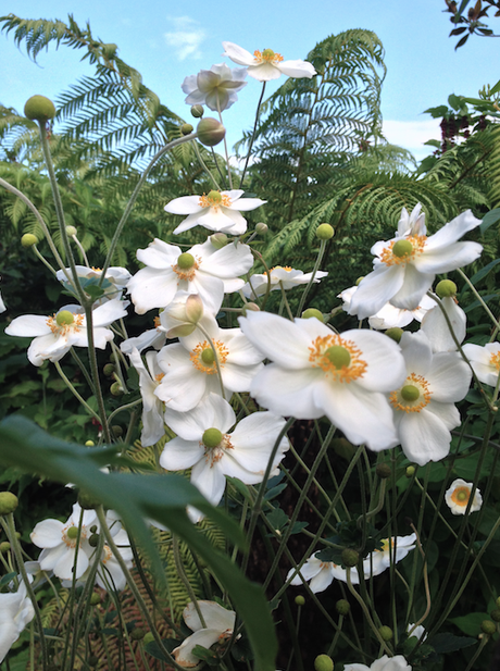 Mosaïc, un jardin extraordinaire !