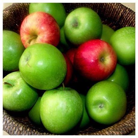 La monodiète et moi ! La monodiète et moi !