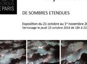 Galerie CROUS Paris exposition Benjamin GOZLAN Octobre Novembre 2014