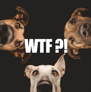 wtf dogs