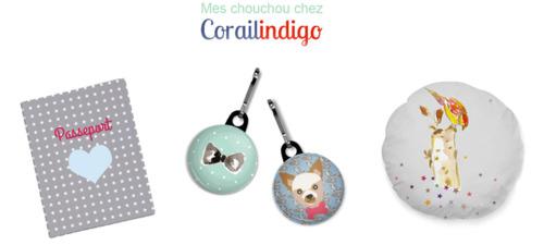 L'univers poétique de Corailindigo