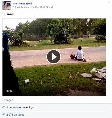 Moine thailande, la video qui interpelle