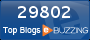 Ebuzzing - Top des blogs