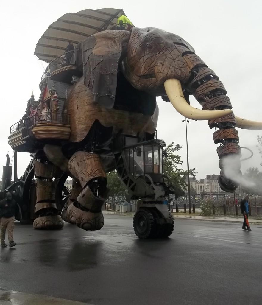 Les Nuls avaient raison, l'éléphant est un gros porc : faites attention à ne pas être sur son passage, sinon il va vous asperger ! 