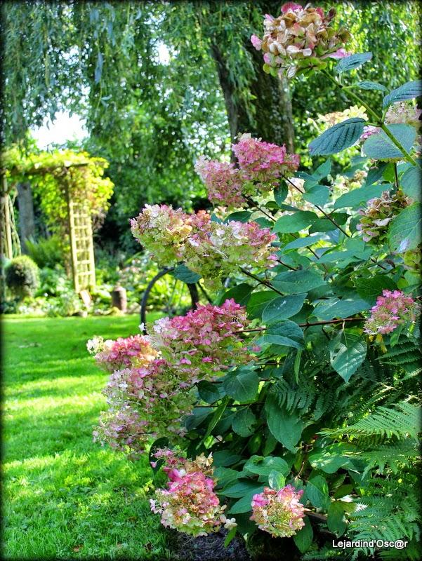 Couleurs d'Automne...