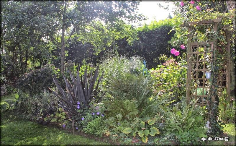 Couleurs d'Automne...