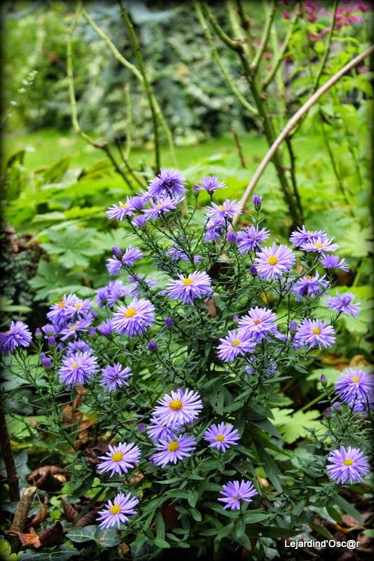 Couleurs d'Automne...