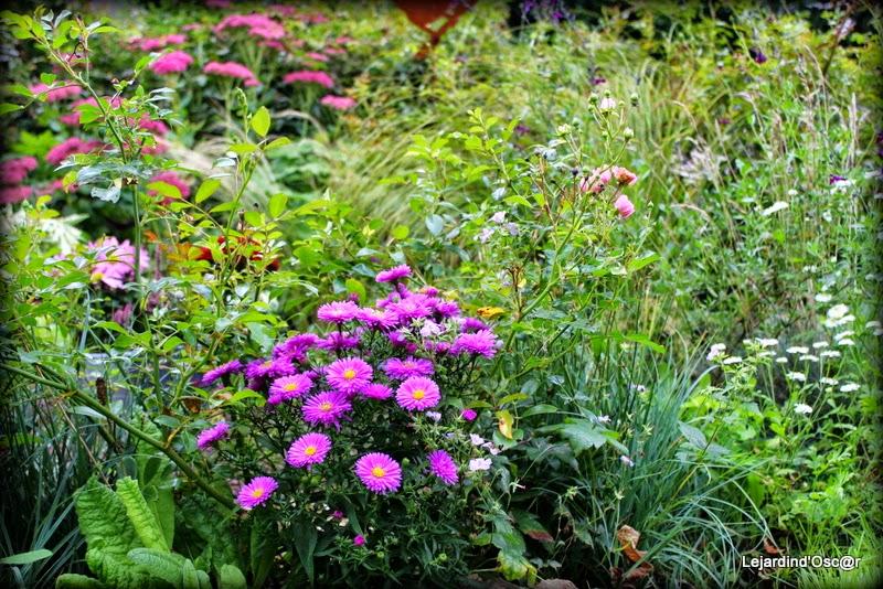 Couleurs d'Automne...