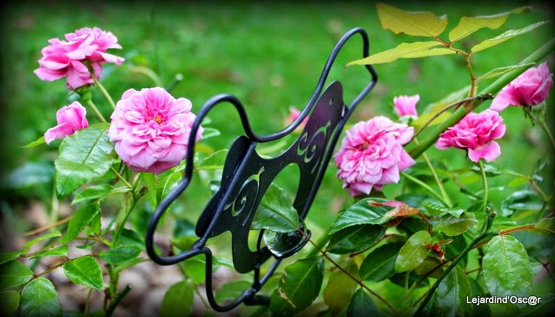 Couleurs d'Automne...