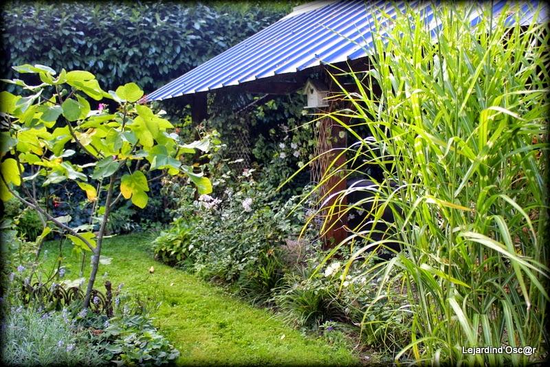 Couleurs d'Automne...