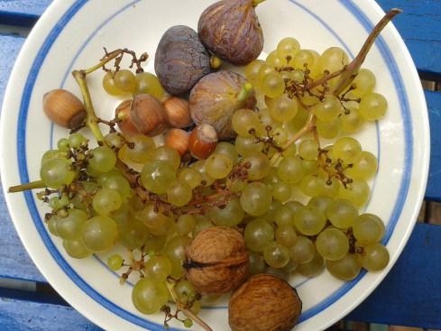 clafoutis figues raisins noix
