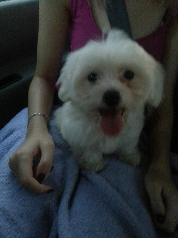 545235_939559426060615_5933989427298873984_n