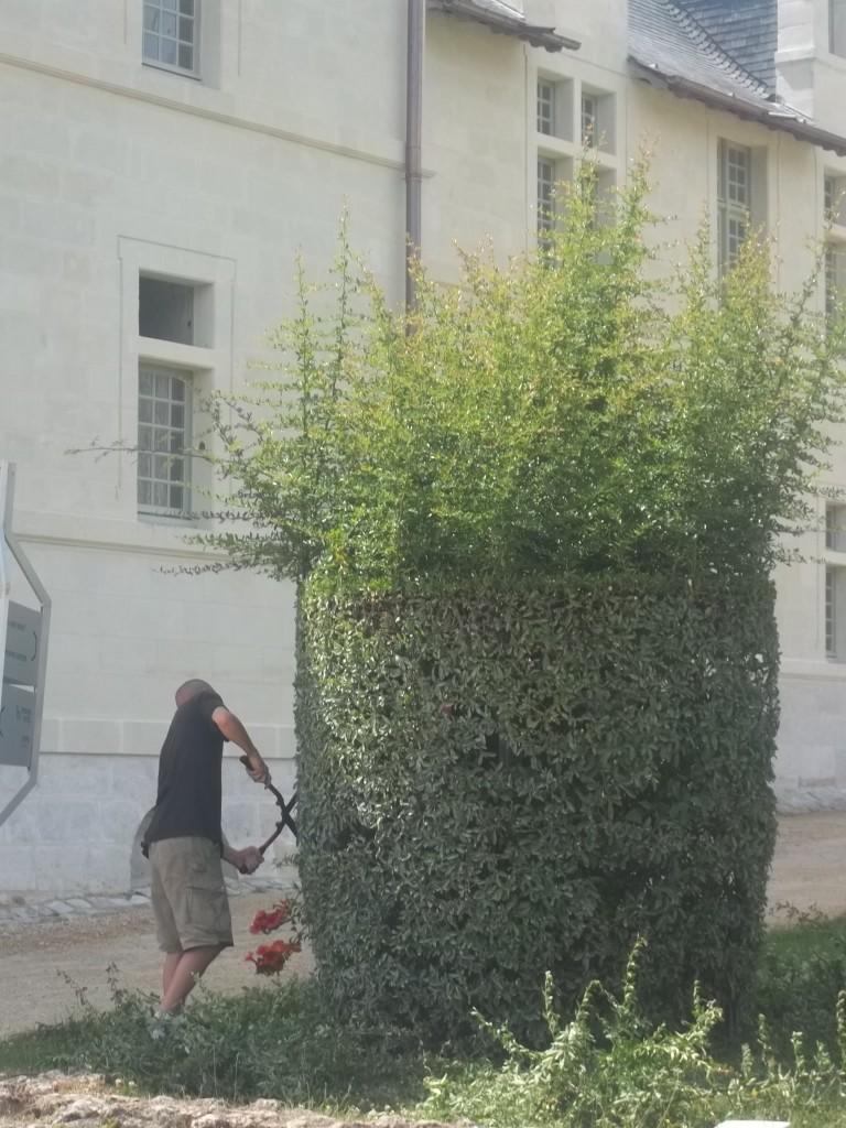On peut être sauvage et beau ; ça n'a pas l'air d'être la devise de la maison... 
