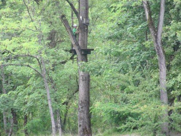 Pique nique de cet été