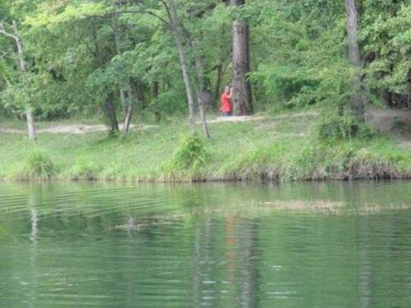 Pique nique de cet été