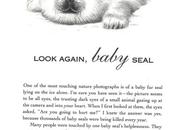 Look Again, Baby Seal Dancing Dream, 1992