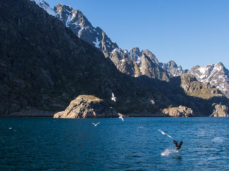 Hurtigruten - Norvège : le carnet de mon 7ème voyage est complet