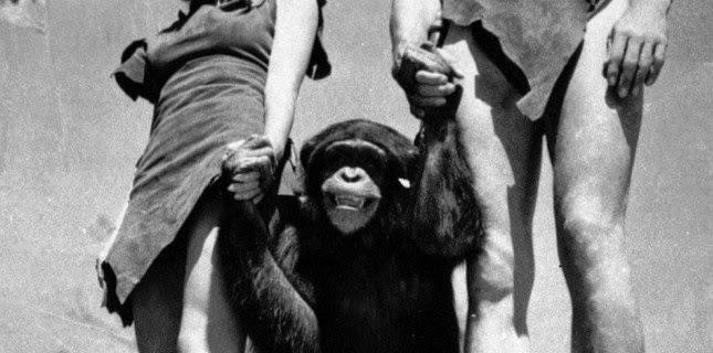 Citation du jour, bonjour !