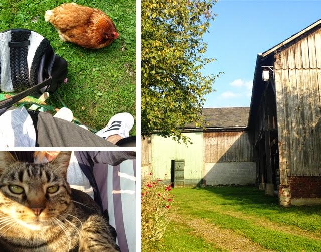 Un repos mérité  en Normandie