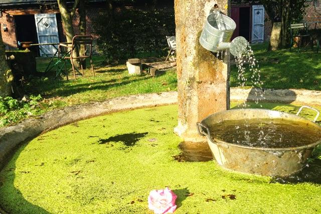 Un repos mérité  en Normandie