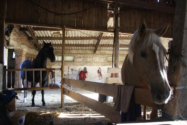 Un repos mérité  en Normandie