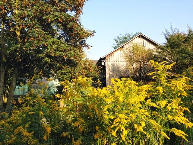 Un repos mérité  en Normandie