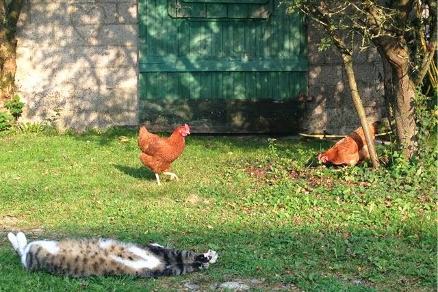 Un repos mérité  en Normandie