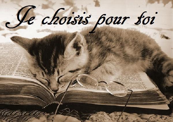 Je Choisis Pour Toi [4]