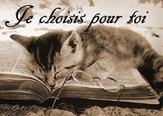 Je choisis pour toi #4