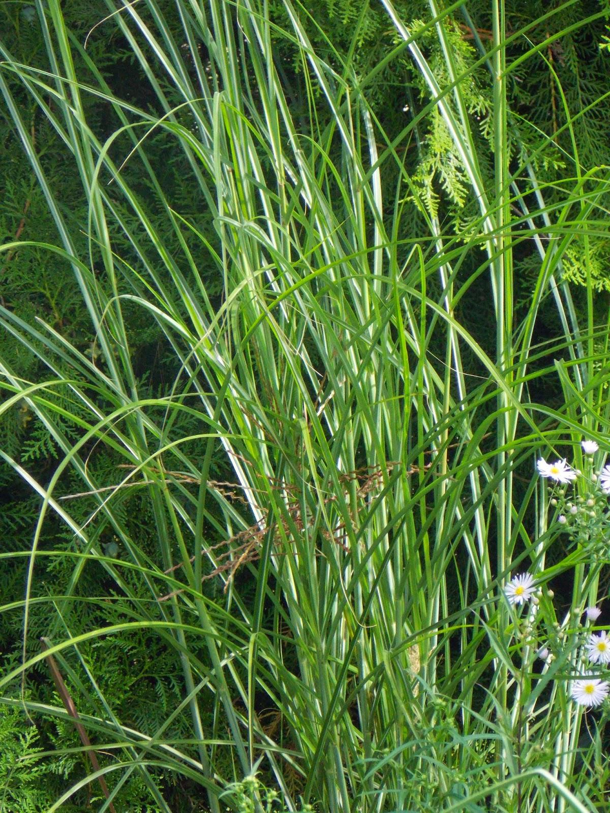 Comment rentabiliser les bordures ?