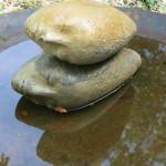 derrière la porte…..le jardin! Fabienne