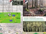 Forestiers Forêts pendant Guerres