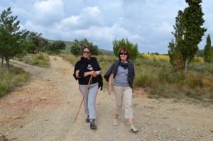 98f69eefd28e6fcfab2cc089d3bece2d