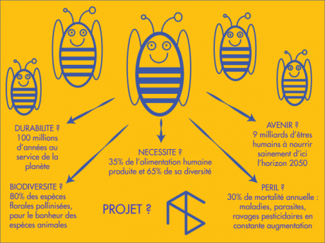 apiculture,abeilles,écologie,agriculture,solidarité,solidaire,entreprise