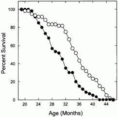 L'étude a montrer une efficacité sur la longévité et des modifications d'expression du génome (en deux mois) quelque soit l'âge où le régime a commencé. Il n'est pas trop tard pour prendre bonnes habitudes alimentaires !