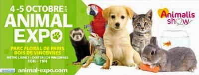 Des idées pour sortir ce week-end avec les enfants ? (4 et 5 octobre)