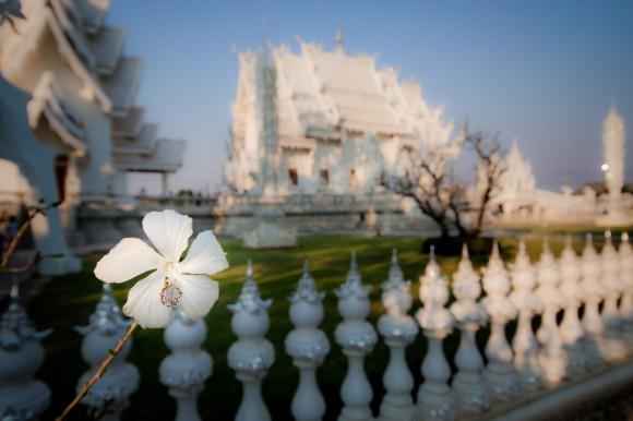 Wat Rong Khun : Le temple plus blanc que blanc Wat-Rong-Khun-Thailande temple blanc mogwaii (2)