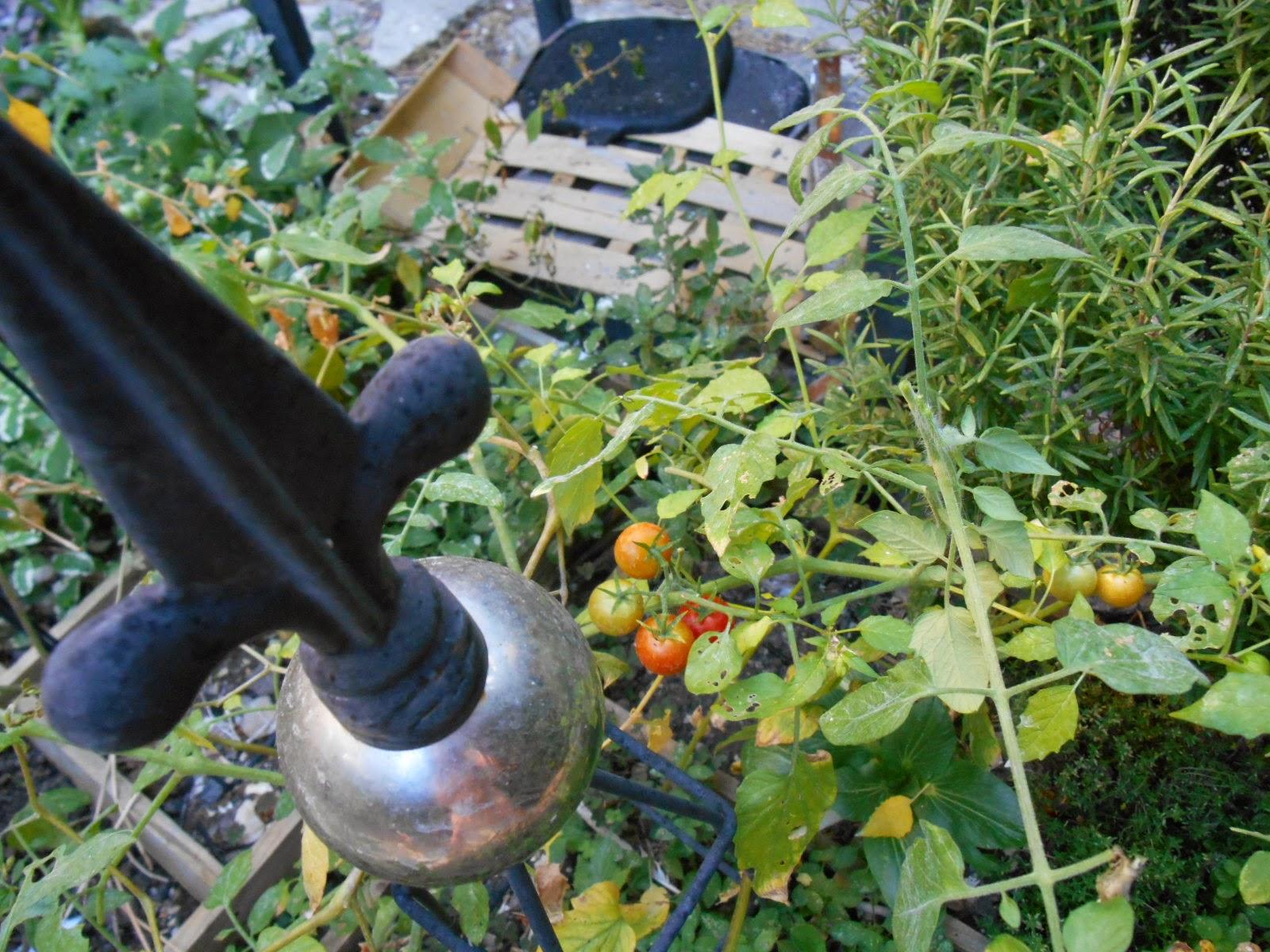Recette tarte à la tomate cerise Recette tarte à la tomate cerise