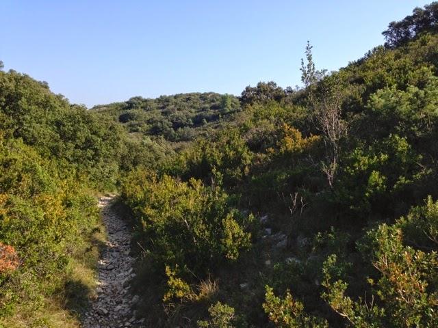 Lost in garrigue