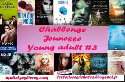 Challenge Jeunesse Young adult # 3 [2013-2014] Bilan