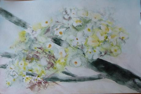 Stage Reine-Marie Pinchon : mes aquarelles P1000978 (2)