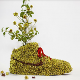 Just Grow It: les sneakers végétales