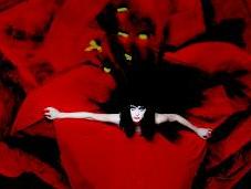 Smashing Pumpkins Adore