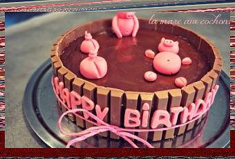 Gateau La Mare Aux Cochons A Voir
