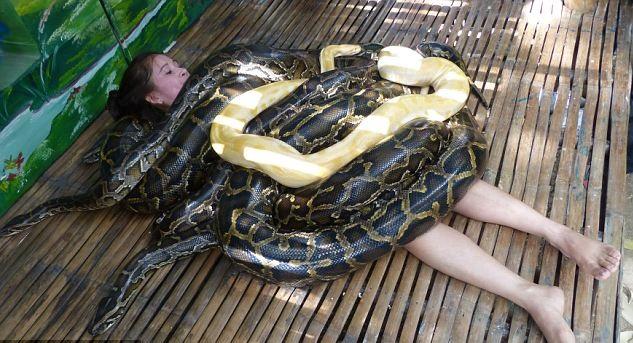 Se faire masser par des serpents dans un zoo